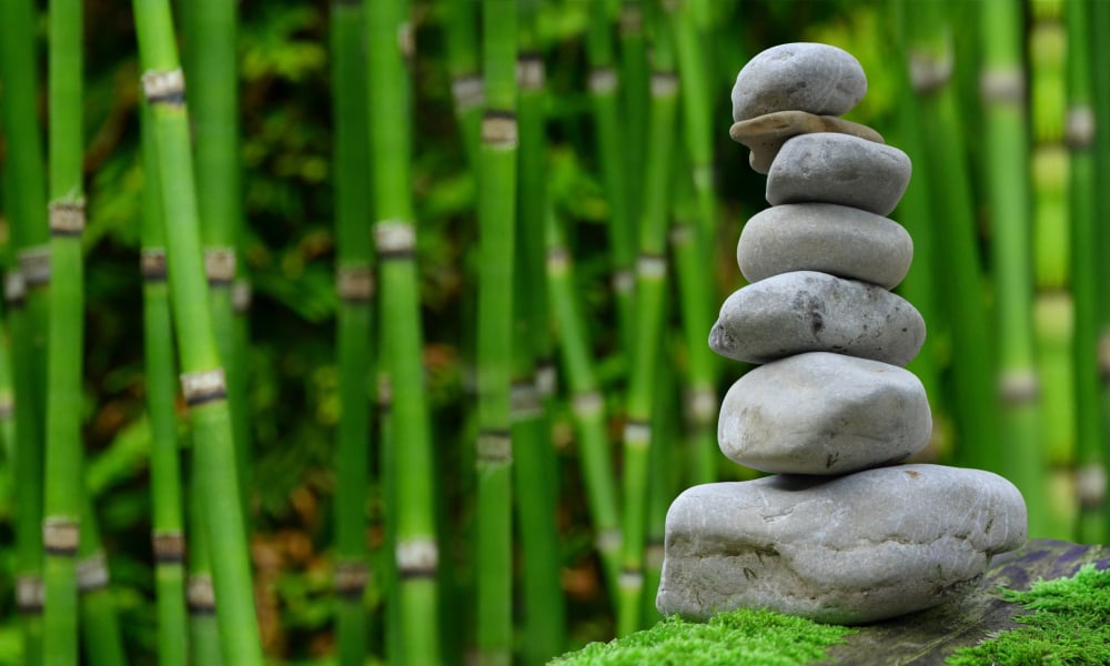 College Minor Chosen “on a Whim” Leads Zeke to Japan