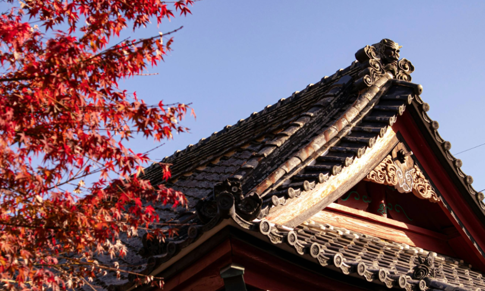 Kya’s Story: The Irresistible Pull Toward Japan