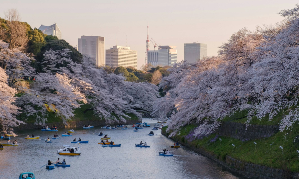 Celebrating 40 Years of Ministry in Japan