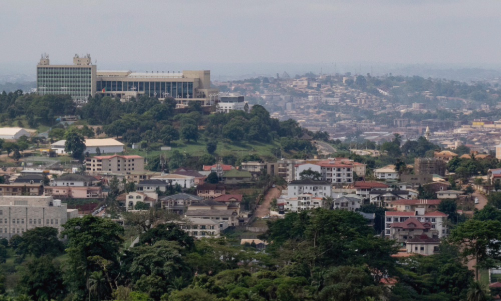 Building Partnerships Between the USA & Cameroon