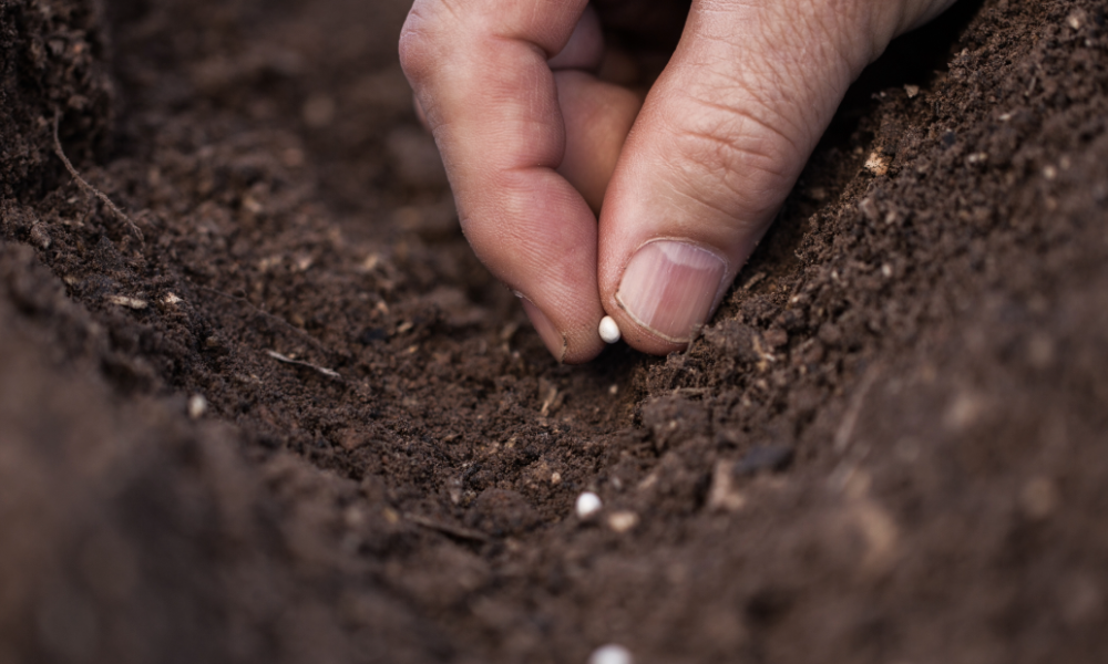 Church Adopts Unreached People Group & Significantly Bolsters Missions Engagement