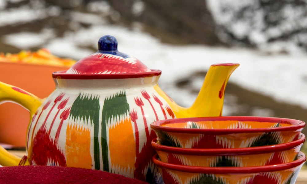 Elevating Medical Care in Central Asia