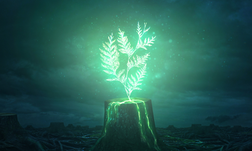 Japanese Suicide Attempter Introduced to Christians