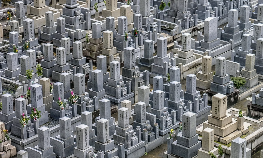 Finding Purpose Amidst Life’s Emptiness