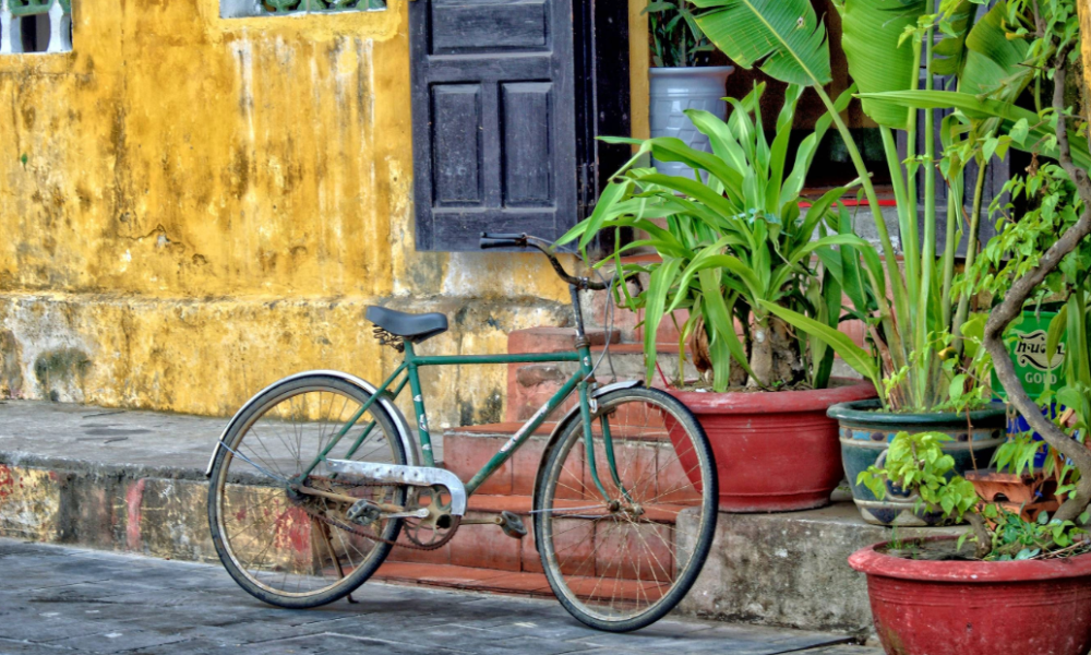 Short Term Isn't Long Enough for Nolan and Emily