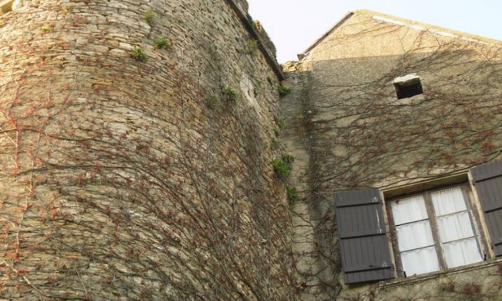 Praise for Global Staff in France