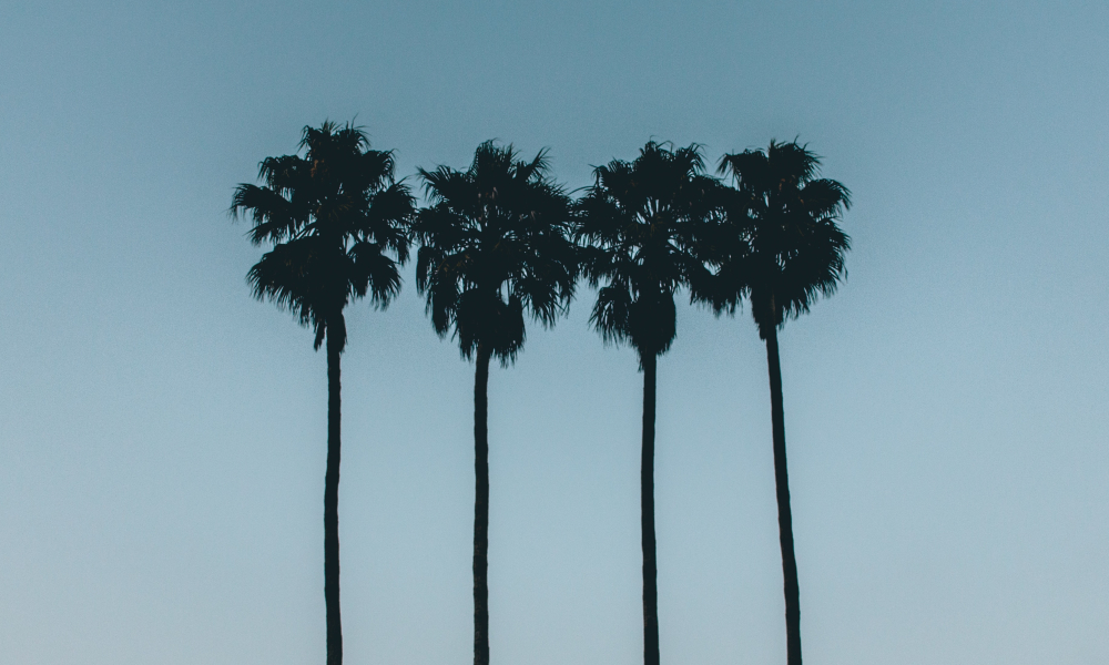 East Meets West: The Four Bottom Lines