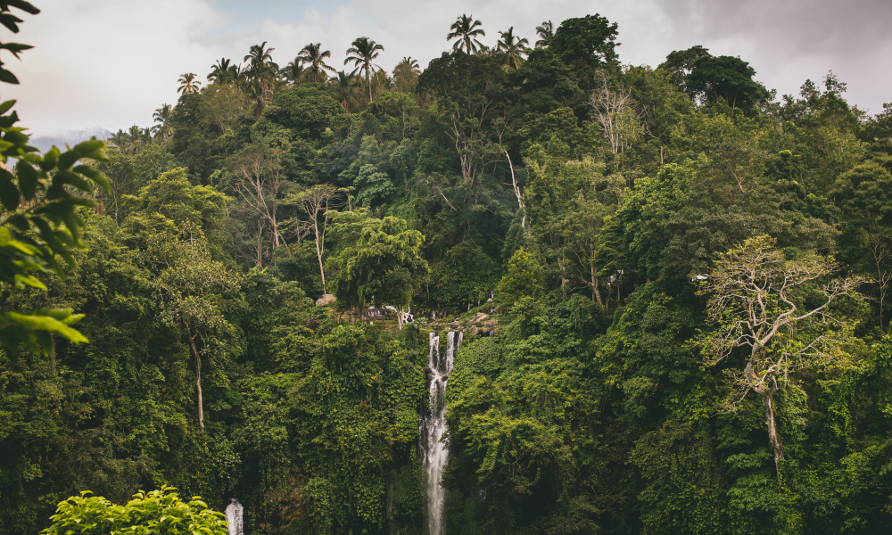 CALLED: We Should Move Here