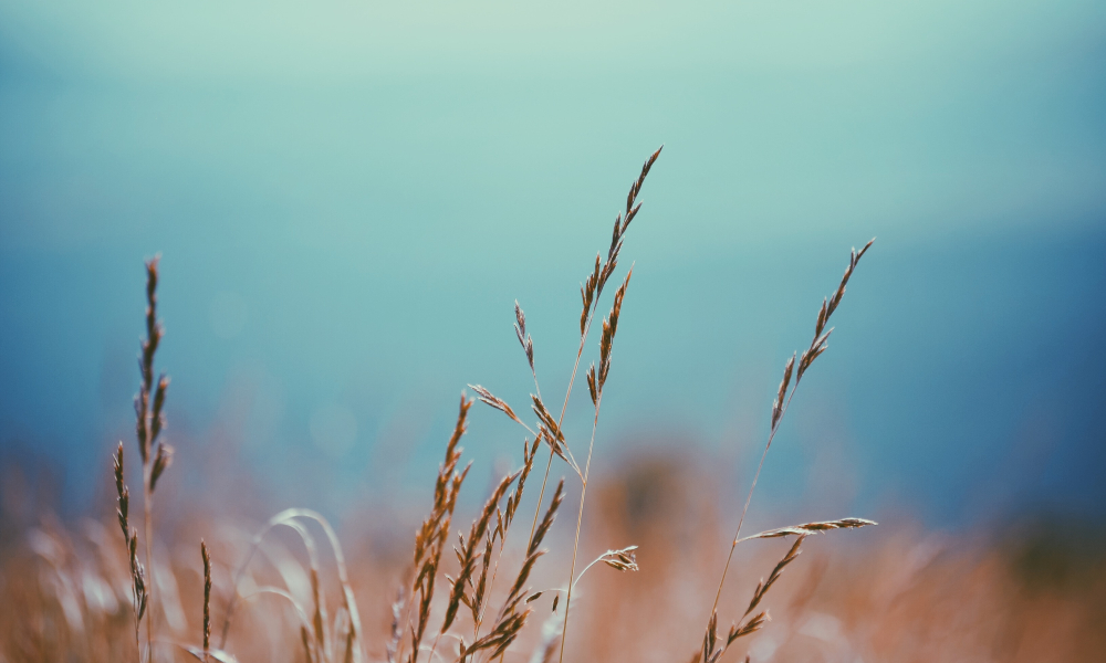 CALLED: Everything Changed in Lincoln