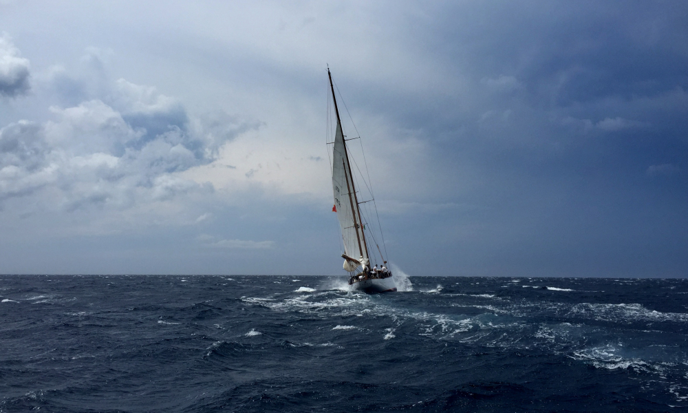 100 Years of Sacrifice