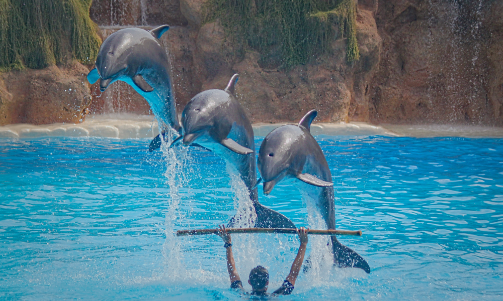 Can God Use Our Talents for Global Missions?