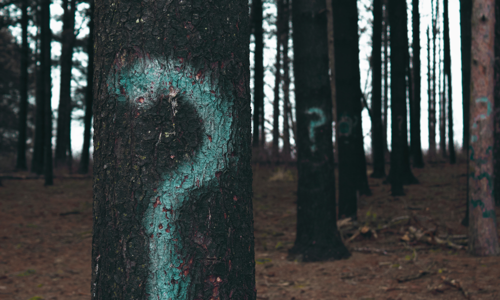 The Art of Asking Good Questions