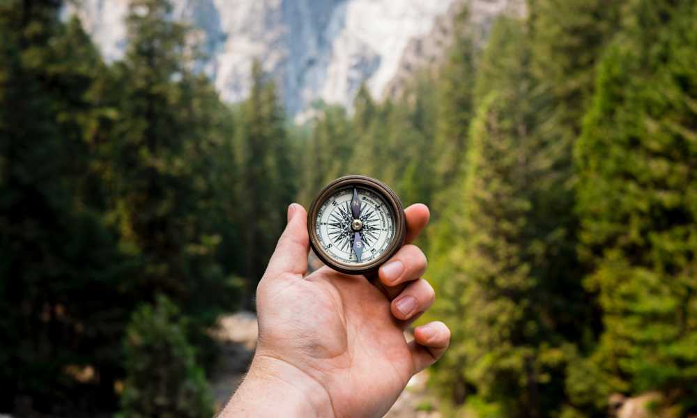 Need Help Discerning Your Calling?