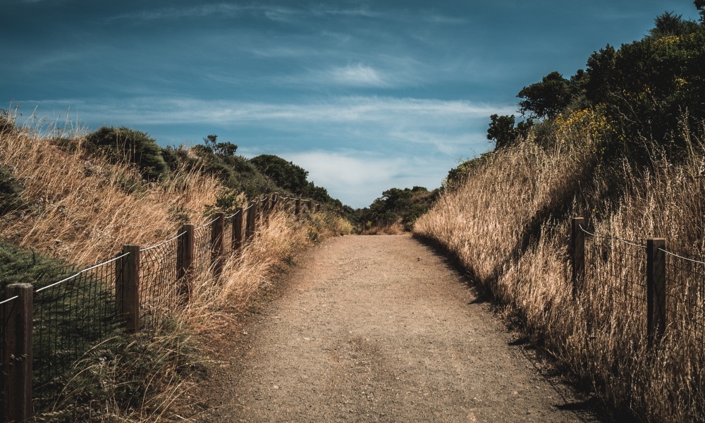 Refuge on the St. James Way