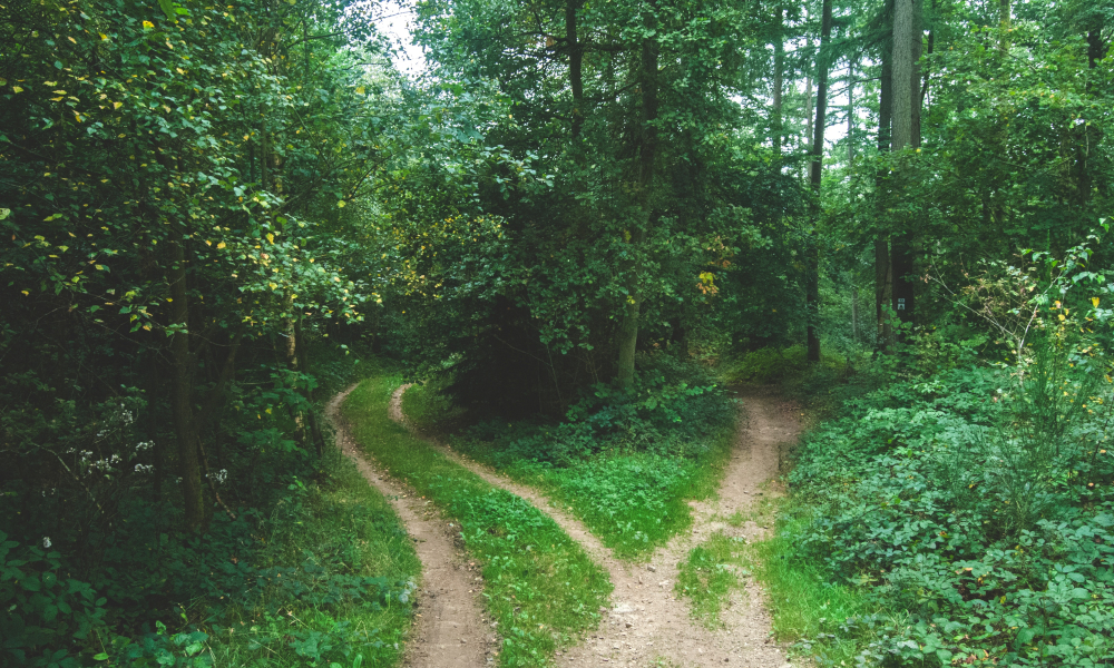 Teaching Against Counterfeit Gospels in Cameroon