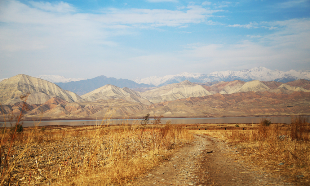 Unexpected Works of God in Central Asia