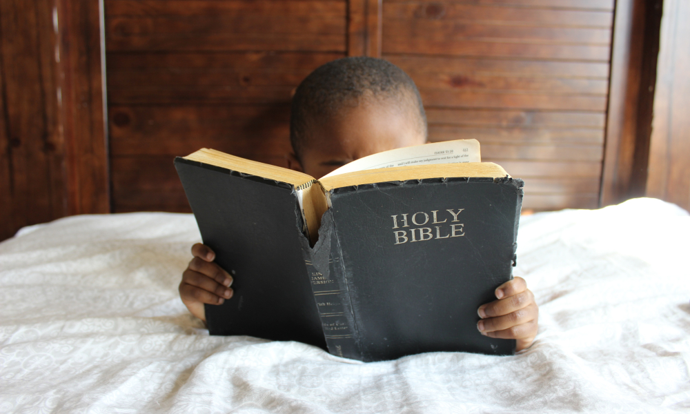 Bible in 1,000 Words Project